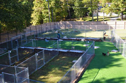 Green Level Kennel Photo Gallery